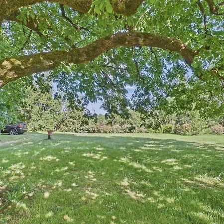 Maison Avec Piscine Proche Lascaux Iv - 8 Pers *