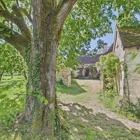Ferienhaus Maison Avec Piscine Proche Lascaux Iv - 8 Pers *